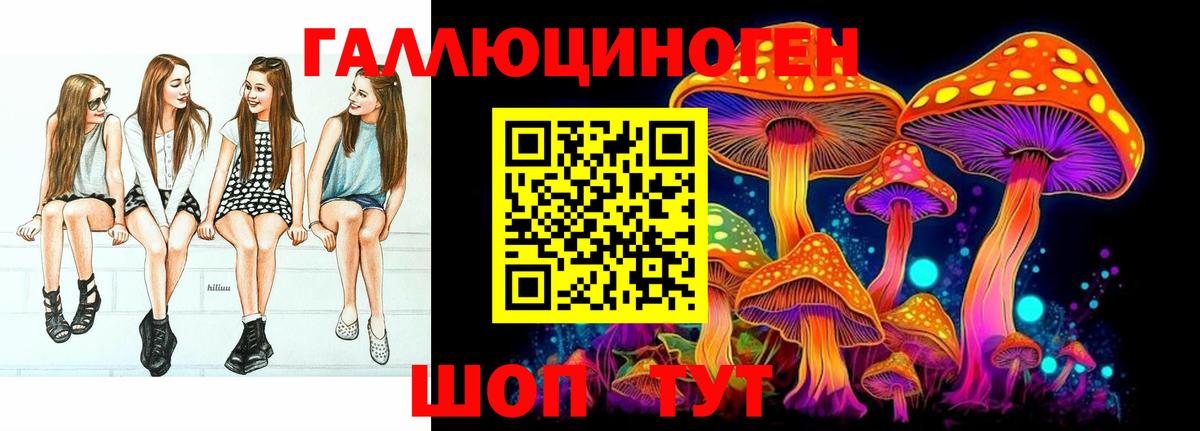 Сыктывкар  Псилоцибиновые грибы мицелий  Вход с VPN  Псилоцибиновые грибы прущие грибы 