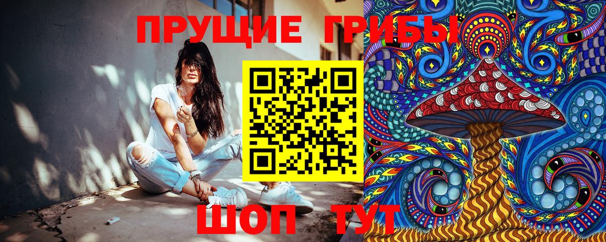 Псилоцибиновые грибы прущие грибы Сыктывкар
