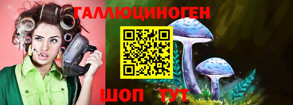 ГЕРОИН Сыктывкар